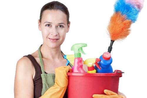 Local pet stain and odour removal service in a TW1 home