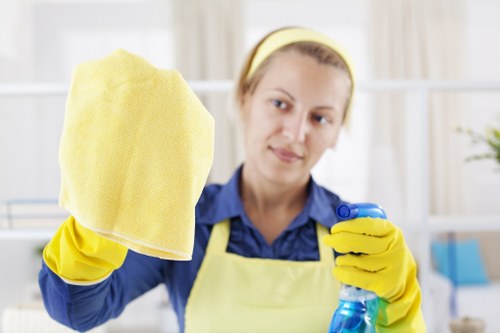 Local cleaning team treating pet accident stains in TW1