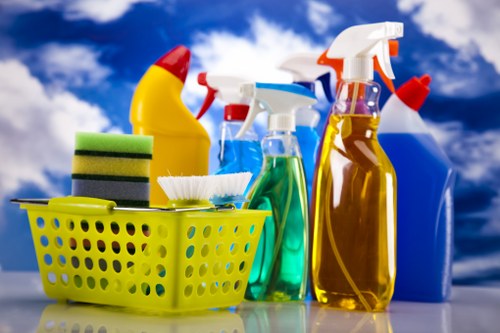 Domestic cleaning support for a Twickenham TW1 family home