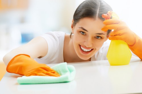 Specialist oven cleaning for apartments and family homes in TW1