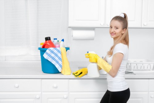 Keyboard navigable Cleaners TW1 web content