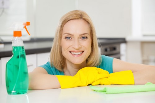 Regular cleaning service for a local TW1 flat or apartment
