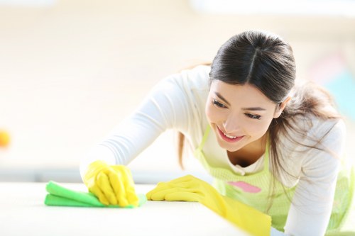 Professional rug cleaning service for TW1 homes and businesses